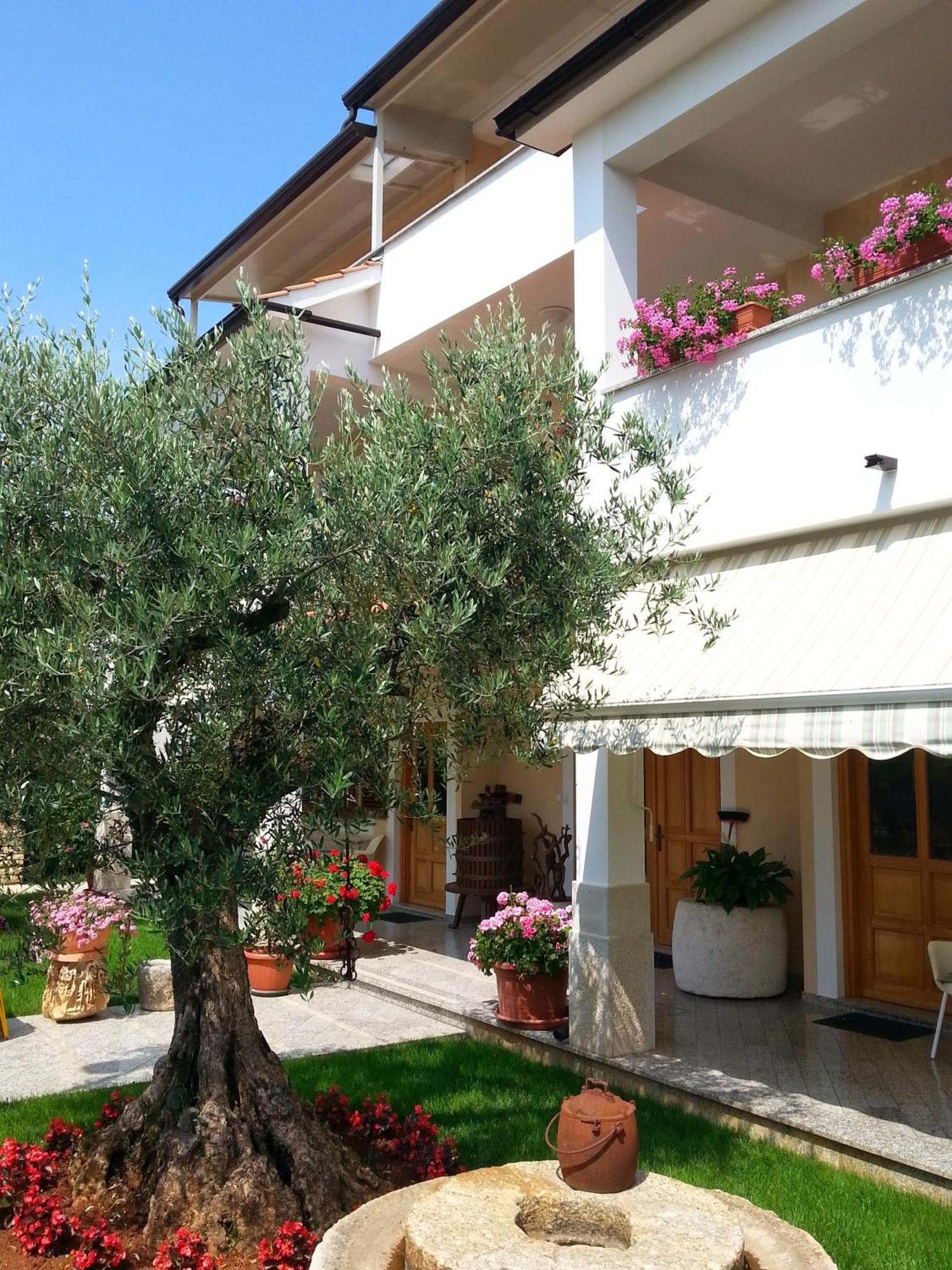 Ulika Rooms & Apartments Poreč Exteriér fotografie