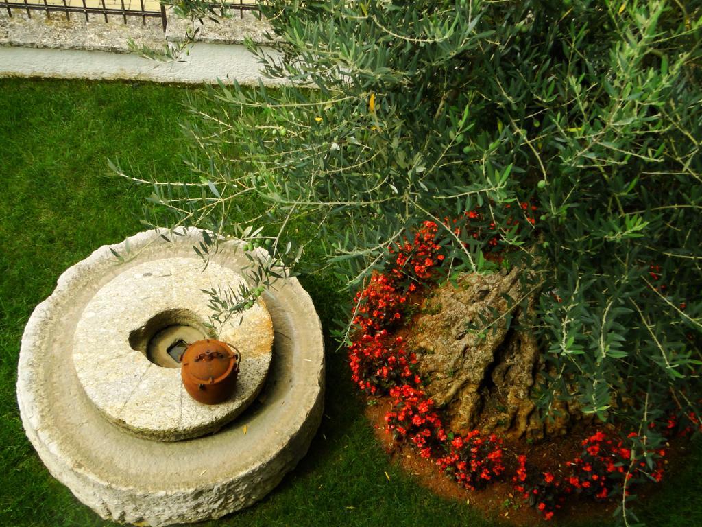 Ulika Rooms & Apartments Poreč Exteriér fotografie